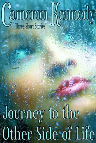 Journey to the Other Side of Life book cover